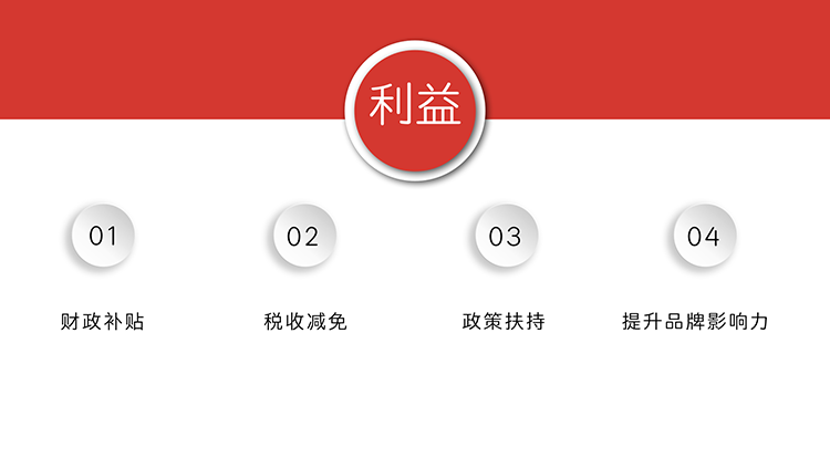 四川企業項目申報
