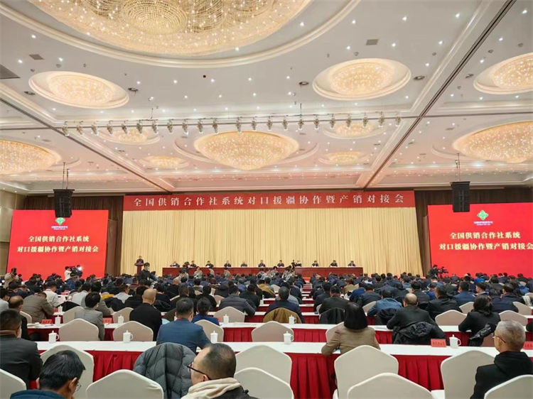 1703141725683174.jpg 5064b03491eff385ec9b36f6d788ea0.jpg