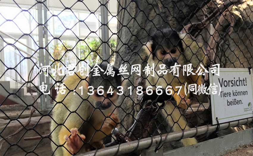 鋼絲繩網
